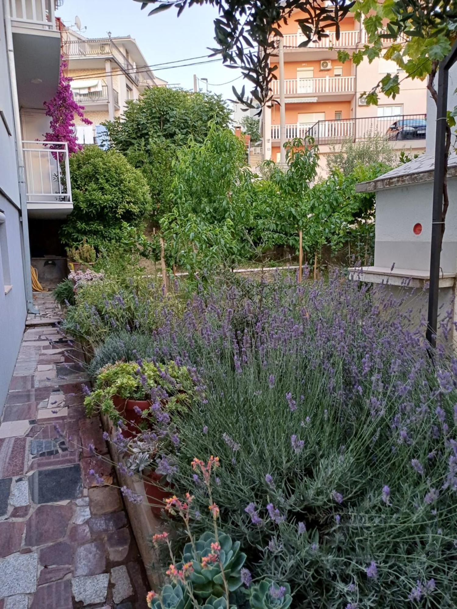 Apartment Sano Podstrana Exteriér fotografie