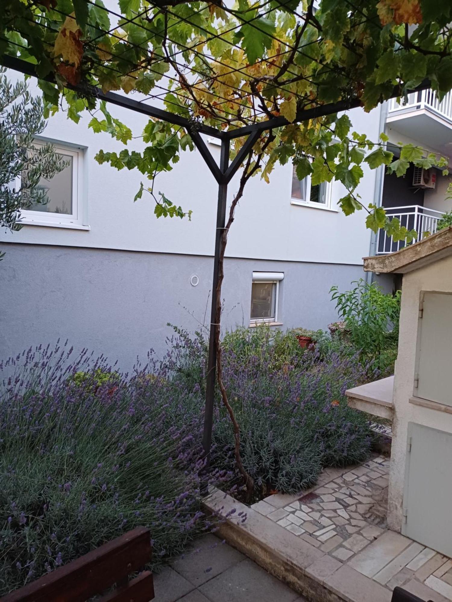 Apartment Sano Podstrana Pokoj fotografie